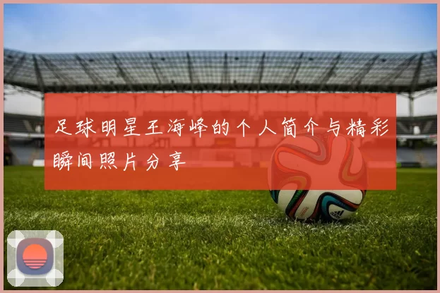 足球明星王海峰的个人简介与精彩瞬间照片分享