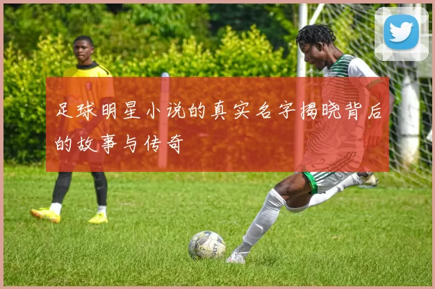 足球明星小说的真实名字揭晓背后的故事与传奇