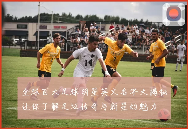 全球百大足球明星英文名字大揭秘让你了解足坛传奇与新星的魅力