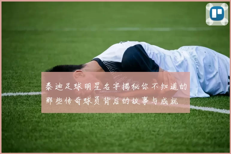 泰迪足球明星名字揭秘你不知道的那些传奇球员背后的故事与成就