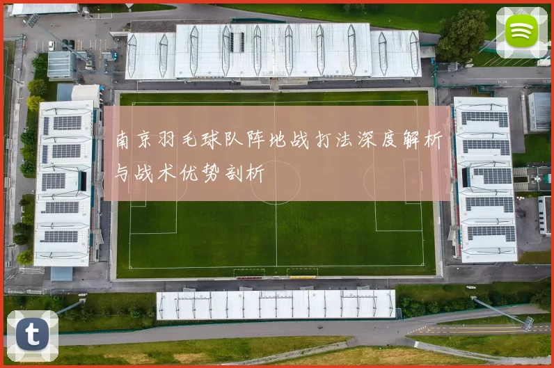 南京羽毛球队阵地战打法深度解析与战术优势剖析