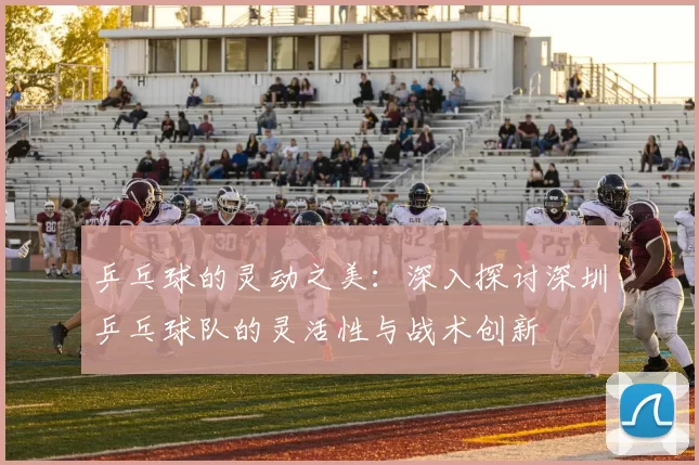 乒乓球的灵动之美：深入探讨深圳乒乓球队的灵活性与战术创新