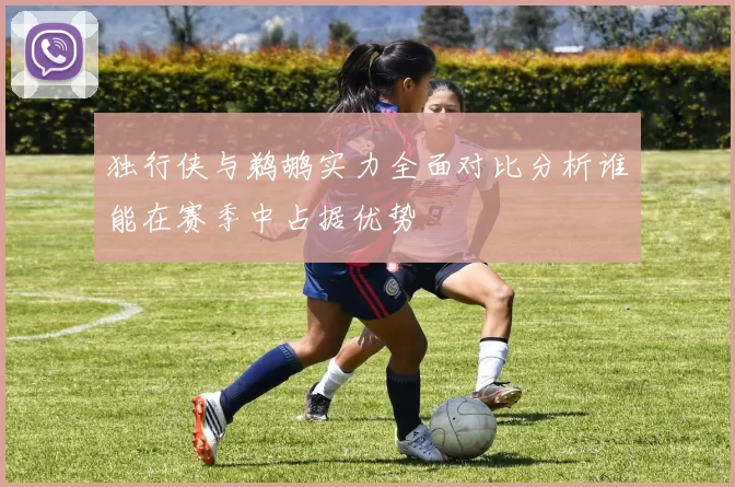 独行侠与鹈鹕实力全面对比分析谁能在赛季中占据优势
