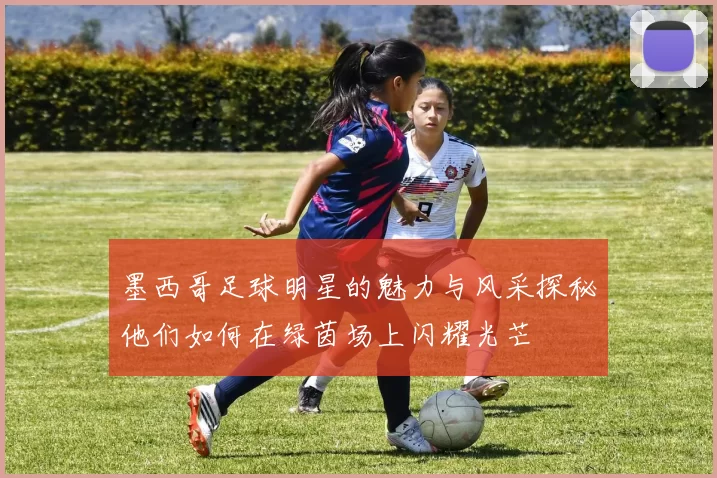 墨西哥足球明星的魅力与风采探秘他们如何在绿茵场上闪耀光芒