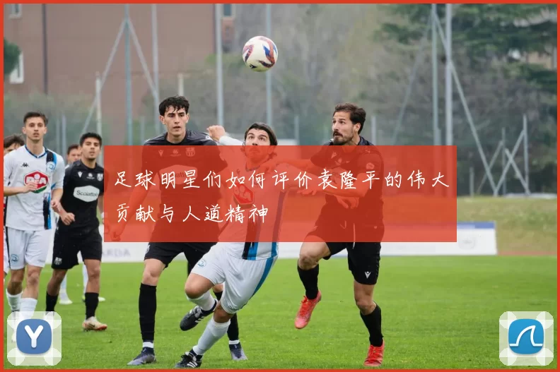 足球明星们如何评价袁隆平的伟大贡献与人道精神