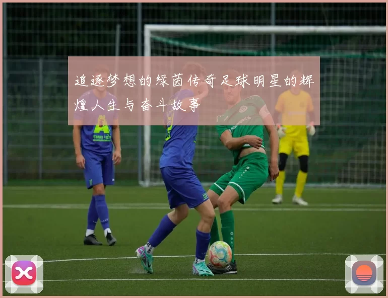 追逐梦想的绿茵传奇足球明星的辉煌人生与奋斗故事