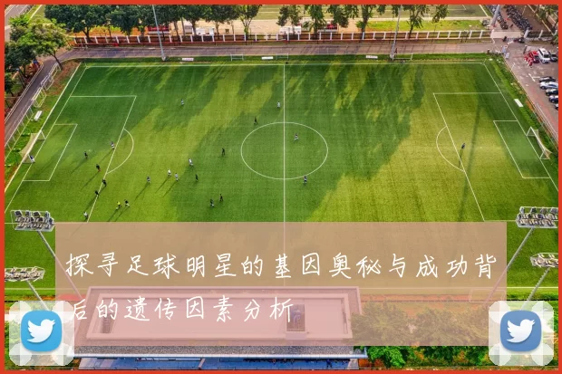 探寻足球明星的基因奥秘与成功背后的遗传因素分析